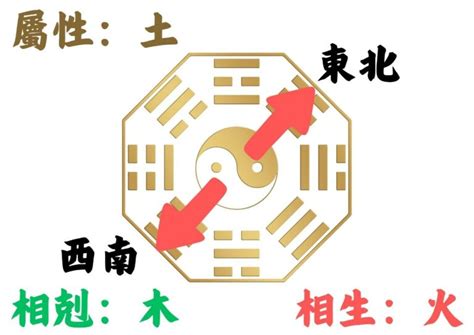 屬虎的房子座向|如何判別房子座向以及五行屬性